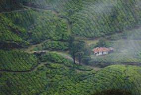 Nature calling Kerala
